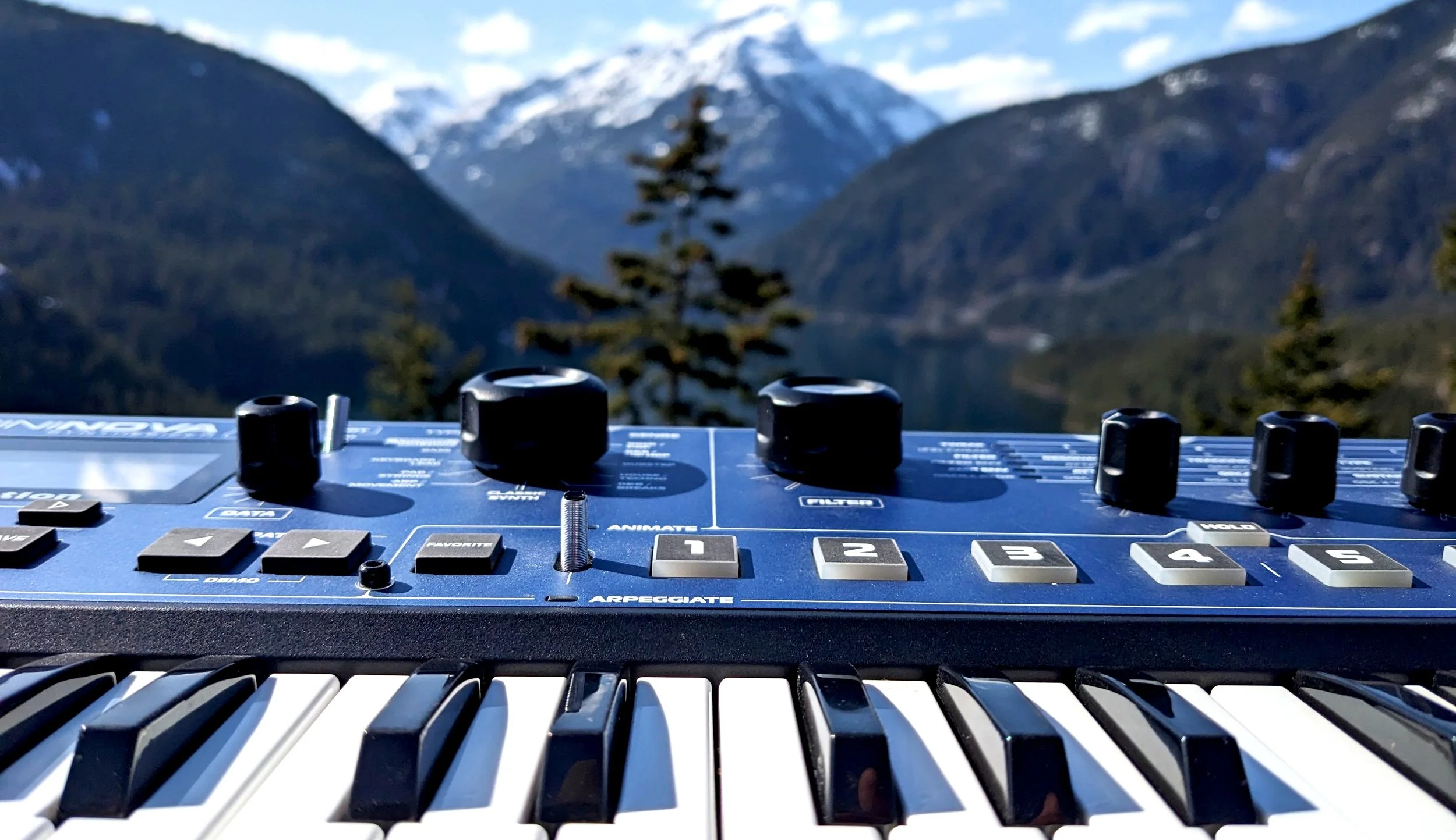 Novation Mininova Review 2025 — Kulshan Studios